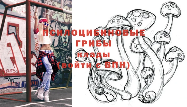 spice Арсеньев