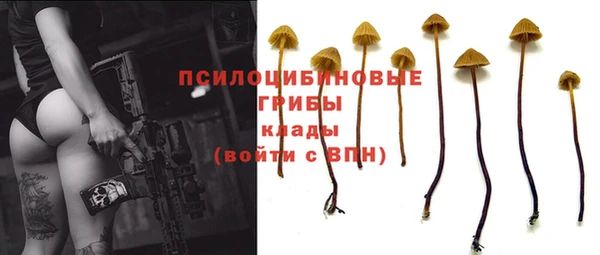 spice Арсеньев